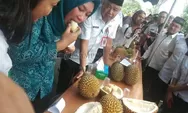 Lamandau Dilanda Mabuk Durian