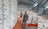 Jamin Stok Beras di Kalteng Aman