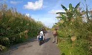 Jalan ke Pelabuhan Segintung Tak Terawat