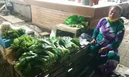 Pasukan Sayur Lokal Belum Stabil
