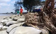 Kian Parah!!! Abrasi Kikis Pantai Ujung Pandaran