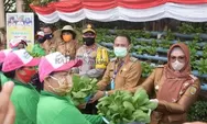Wali Kota Ajak Masyarakat Menanam