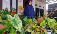 Meraup Rezeki dari Hobi Tanaman Hias