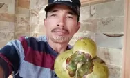 Unik..!!! Ada Kelapa Dempet Tiga di Kotawaringin Barat