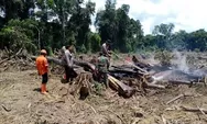 Bakar Tumpukan Kayu, Api Nyaris Meluas ke Hutan