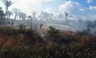 Empat Hektare Lahan Gambut Terbakar