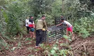 Beruang Liar Teror Warga Sungai Pakit