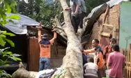 Angin Kencang, Dua Rumah Milik Orangtua dan Abang Sekretaris PWI Tabagsel Roboh Tertimpa Pohon