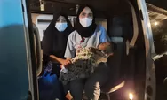 Butuh Penanganan Cepat, Bobby Boyong Bayi Perempuan ke RS Adam Malik