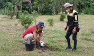 PT Inalum Bersama 9 BUMN Tanam Pohon Penghijauan di Kawasan Danau Toba