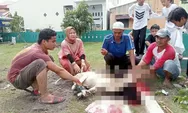 Warga BSP Lubuk Pakam Sembelih 4 Lembu dan 4 Kambing