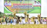 Panen Padi Naik Odong-odong, Edy Rahmayadi Puji Kerja Keras Petani