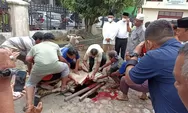 Wagub, Kapolda dan WakapoIdasu Qurban Lembu di PWI Sumut<br>'Semoga Mendapat Barokah'