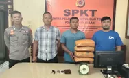 Polsek Lawe Bulan Tangkap Satu Orang Pengedar Ganja Dengan Barang Bukti Seberat 3,34 Kg