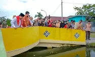 Jembatan dan Jalan di Sicanang Amblas, Wali Kota Medan Gercep Tinjau Langsung