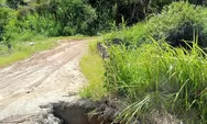 Jembatan Haidupan Siualuompu Tarutung Terancam Ambruk