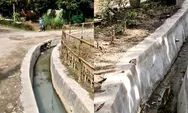 Proyek Lening Parit Jalan Lorong Eka Langkat Diduga Dikerjakan Asal Jadi