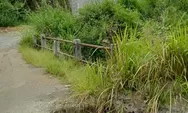 Jembatan Kenegerian Siualuompu Terancam Ambruk, JUT Tertimbun