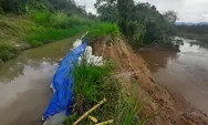 Irigasi Batang Angkola Jebol Ribuan Hektar Sawah Terancam Gagal Tanam