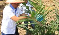Direktur PTPN 2 Tanam Perdana TU Tahun 2023 Kebun Sawit Hulu