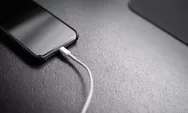 Penyebab Baterai Ponsel Cepat Habis, Ini kemungkinannya