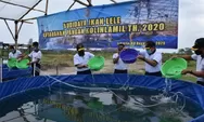 Dukung Program Ketahanan Pangan, Kolinlamil Tebar Benih Ikan Lele