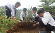 Peringati Hari Menanam Pohon, SMPIT Izzatul Islam Gelar Penghijauan
