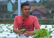 Muhammad Pajri, Pedagang Sayuran Keliling Asal Purwakarta Sukses Kembangkan Sayuran Hidroponik