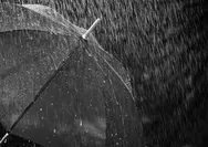 Prakiraan Cuaca Sidoarjo Hari Ini Kamis, 13 Oktober 2022: Hujan dari Sore hingga Malam Hari