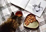 Tips Aman Meninggalkan Kucing saat Mudik Lebaran Idul Fitri 1444H