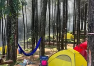 2 Lokasi Camping Hits di Trawas Mojokerto Bermalam di Bawah Pohon Pinus