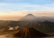 Selain Gunung Bromo, Ini 10 Wisata Bukit yang Ada di Probolinggo, Salah Satu Namanya Diminta Untuk Menunggu
