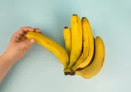 Dampak konsumsi pisang bagi penderita diabetes, berbahayakah?