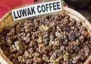 10 Makanan dan minuman termahal dari seluruh dunia, ada kopi luwak dan ayam cemani dari Indonesia