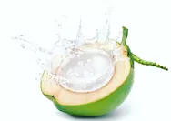 Mengenal 5 manfaat kelapa untuk kesehatan, ternyata juga dapat menurunkan berat badan lho!