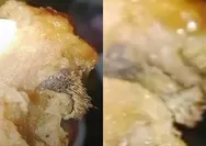 Usai Viral Siomay Tikus di Morowali, Pengunggah Minta Maaf, Begini Penjelasannya! 