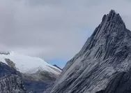 Kamu Hobi Naik Gunung, Harus Tahu Carstensz Pyramid, Puncak Jaya Papua dengan Jalur Terpanjang di Indonesia