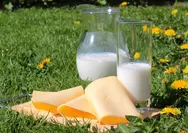 Yuk dicatat! 4 produk olahan susu terbaik untuk kesehatan usus, nomor 4 makanan favorit semua orang