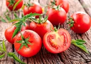 Berikut manfaat dahsyat tomat bagi kesehatan tubuh, cek selengkapnya!