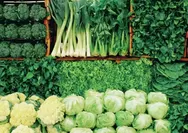 Berikut 12 jenis sayur hijau yang kaya manfaatnya bagi kesehatan, cek selengkapnya!