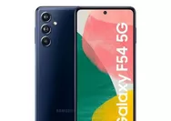 Bocoran Spesifikasi dan Harga Samsung Galaxy F54 5G, Dibekali Ram 8 Gb dan Kamera 108 MP