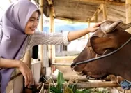 Beri Daging Qurban kepada Non Muslim Apa Boleh?Penjelasan Selengkapnya Disini!