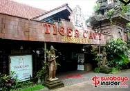 Makan malam bersama harimau di Tiger Cave Restaurant: Pengalaman unik di Taman Safari II Jatim