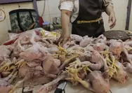 Jaga Pasokan Ayam Potong Saat Libur Nataru, BKP Cilegon Buka Layanan 24 Jam