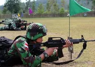 Senjata SS-2 Hasil Produksi PT Pindad Mampu Gemparkan Dunia