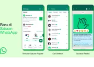 Fitur WhatsApp Channel Resmi Diluncurkan, Yuk Intip Apa Fungsinya