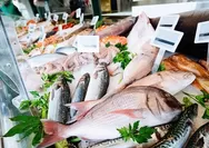 Cocok Bagi Penderita Hipertensi, Inilah 5 Jenis Ikan yang Bisa Menurunkan Tekanan Darah Tinggi, Ada Ikan Trout