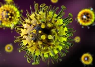 Disebut Lebih Mematikan dari Covid-19, Apa Itu Virus Nipah yang Kembali Muncul di India?