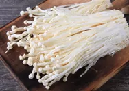 Jangan Kaget! Jamur Enoki Ternyata Susah Dicerna, Ini Penjelasannya