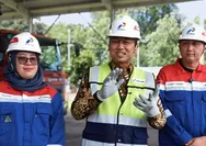 Pertamina Siapkan Satgas Pasokan BBM di Rest Area Demi Mudik Aman dan Nyaman